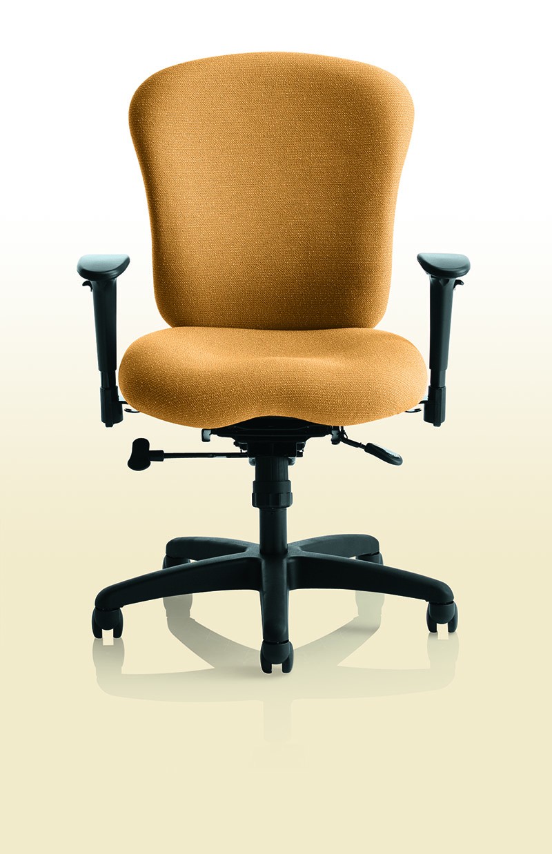 Ithaca Task Chair